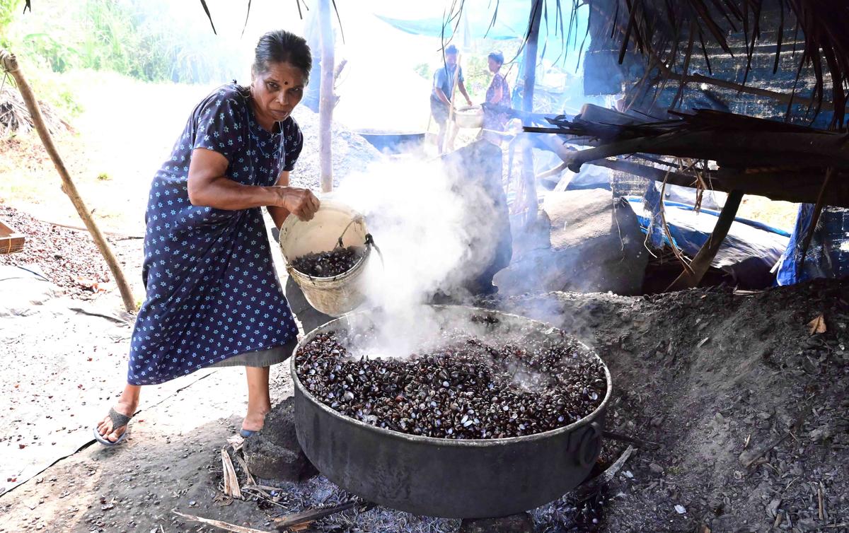 A worker puts clams into a vessel of boiling water. 