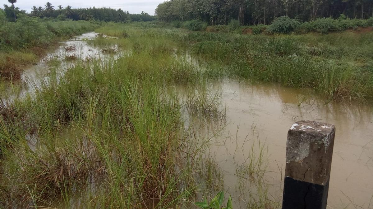 Nandiyaru overflows, causes inundation of fields