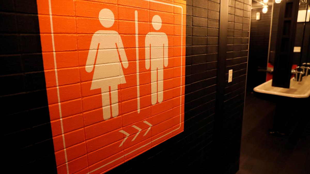 Coming to your city soon: luxury public loos you could bathe in