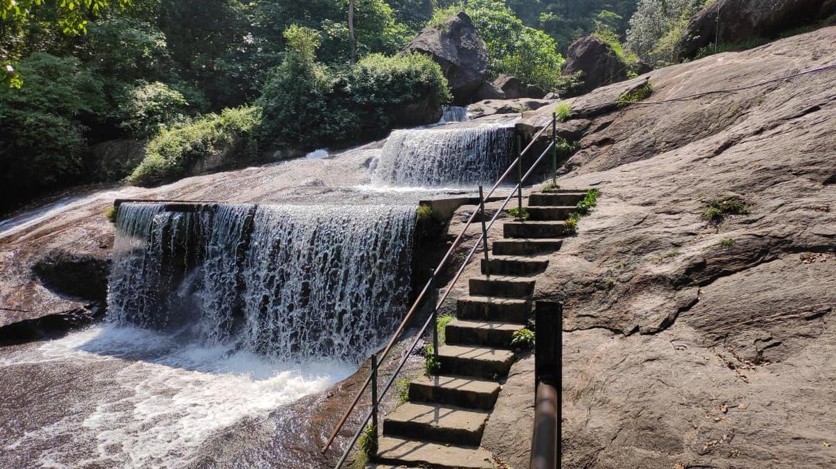 Kovai Courtallam waterfall in Coimbatore reopened to visitors