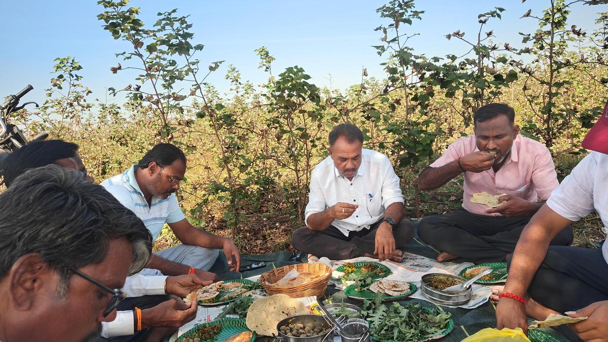 Farmers celebrated Ellu Amavasya in Yadgir