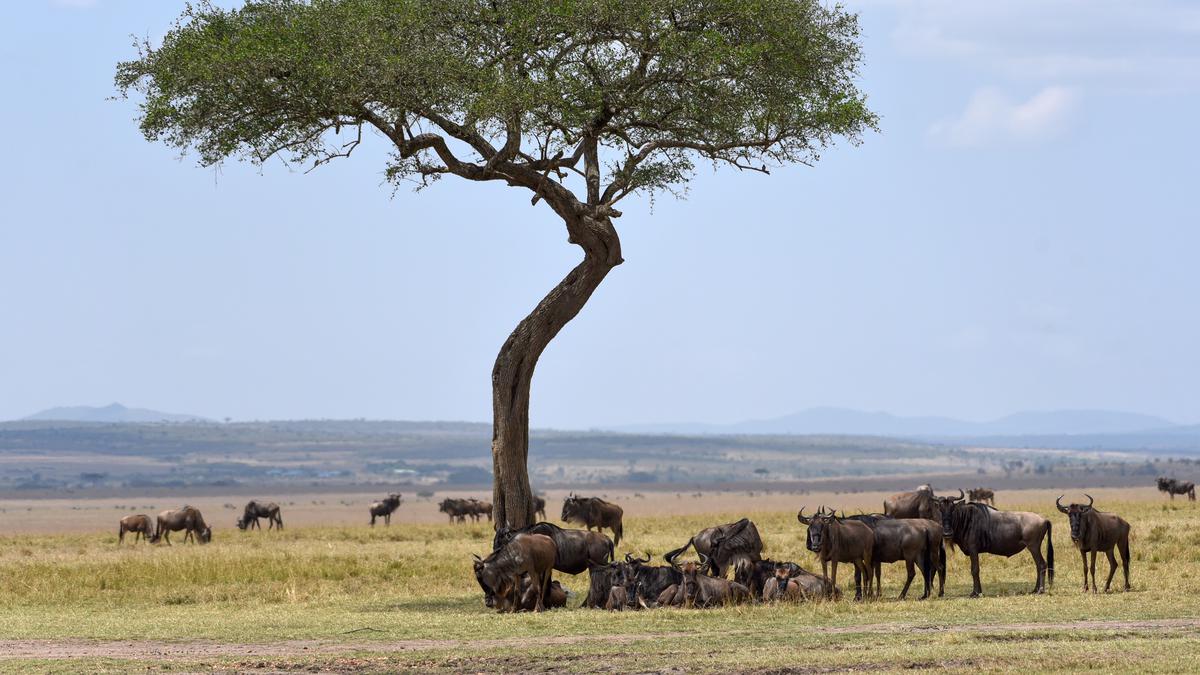 What to watch at Africa's first climate summit