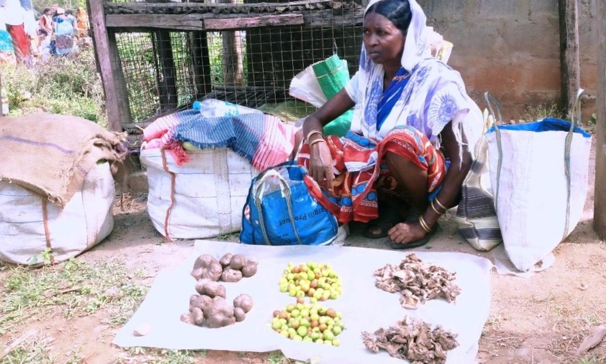 55 natural food sources of tribals on their way to oblivion in Dandakaranya region  