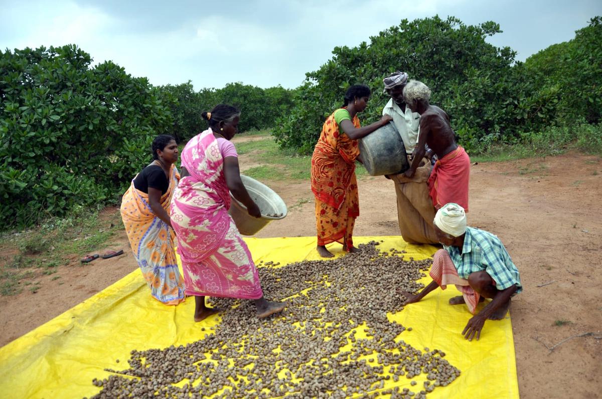 A model of empowerment of tribes in Ariyalur district