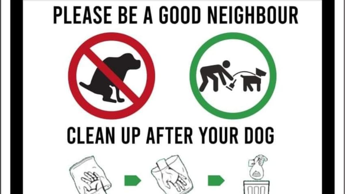 Chennai society is getting tough on dog poop The Hindu