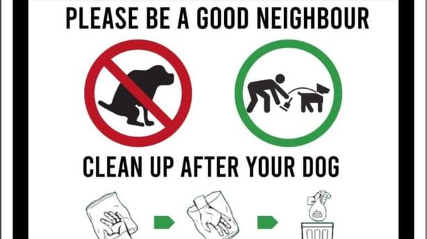 Chennai society is getting tough on dog poop