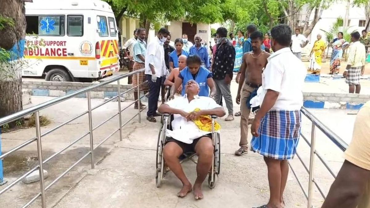 Giant honeybees attack group of people in Sivakasi