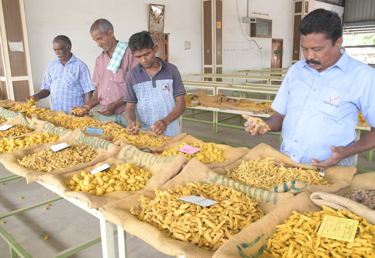 &lsquo;Manjal Maanagaram&rsquo; is the second largest turmeric market in India&nbsp;