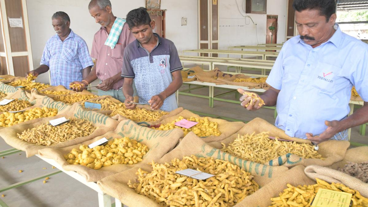 ‘Manjal Maanagaram’ is the second largest turmeric market in India