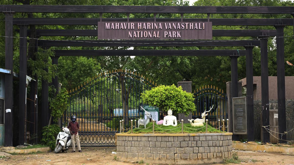 Uncertainty over Mahaveer Harina Vanasthali National Park’s extent