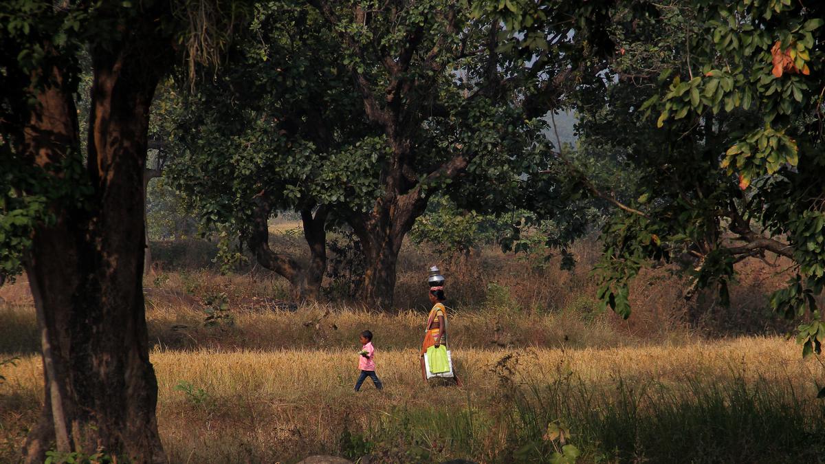 No more ‘deemed forests’, says Odisha government