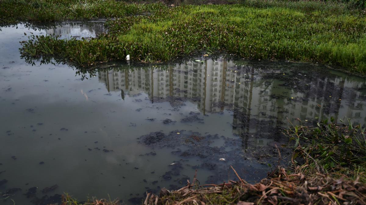 42 lakes have disappeared in Bengaluru, says Revenue Minister