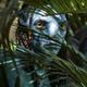 D23 2024: 'Avatar 3' title revealed as 'Fire and Ashes' 2 Avatar%20The%20Way%20of%20Water