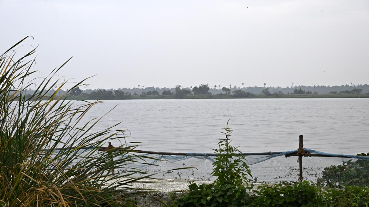 Activists demand treated sewage discharge to protect Coimbatore’s lakes