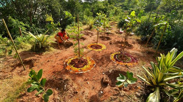 In Hyderabad, project Haritham initiates green memorials for those who lost their lives to COVID-19