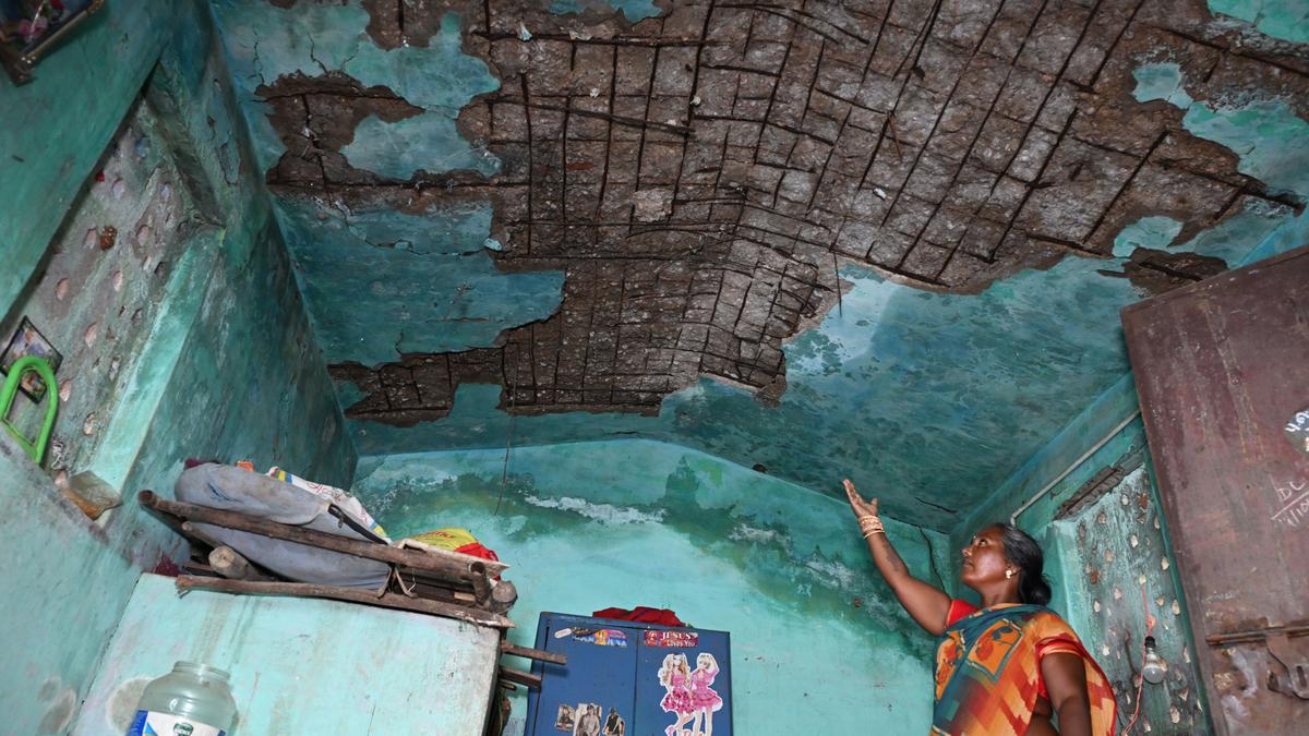 Every monsoon we are promised new houses but nothing materialises, says Narikurava community at Sakkimangalam