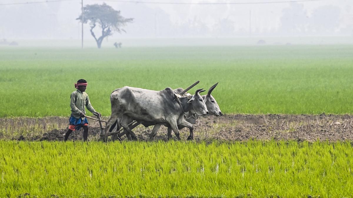 Congress slams Govt over farmers' plight, demands legal guarantee for MSP