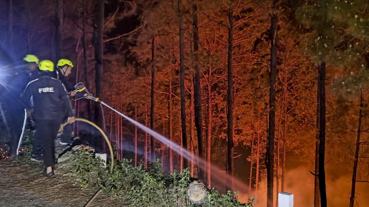 Uttarakhand recorded 375 forest fires in past three months; Chamoli worst hit