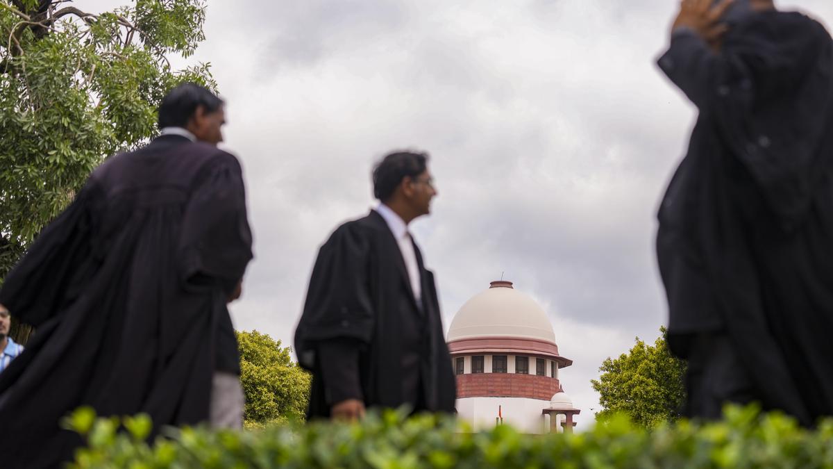 SC advocates’ bodies urge CJI to take suo motu case of ED summons to senior lawyers