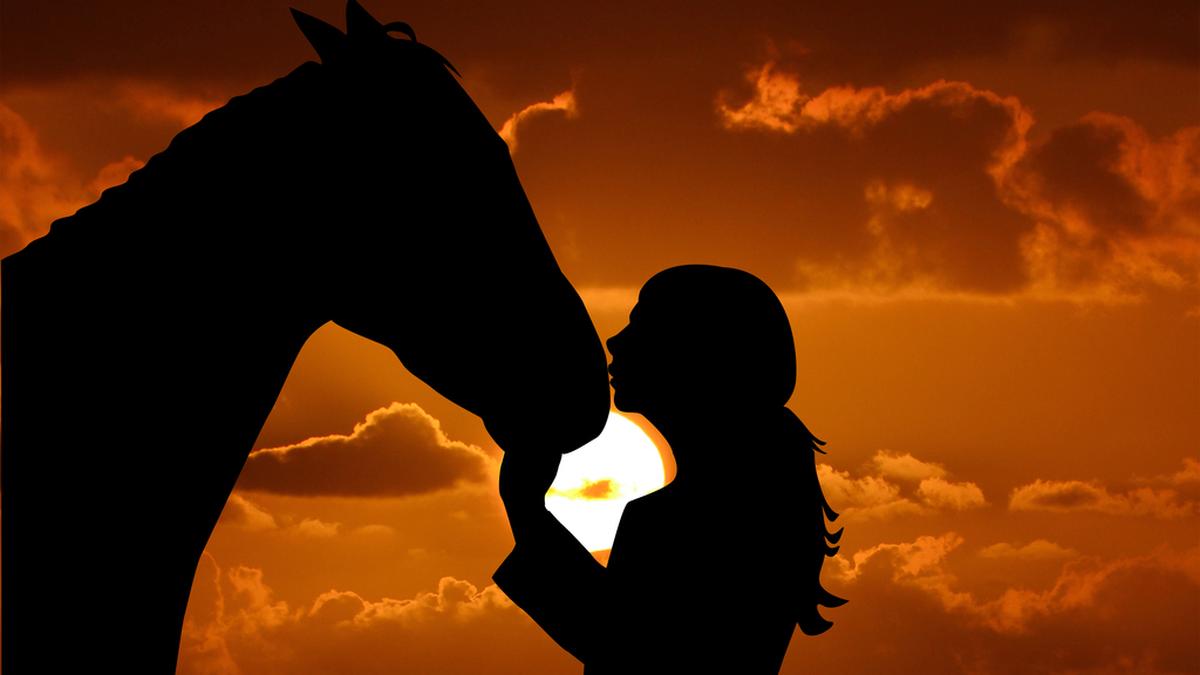 A robot, a racehorse and inter-species solidarity | Review of A Thousand Blues by Cheon Seon-ran