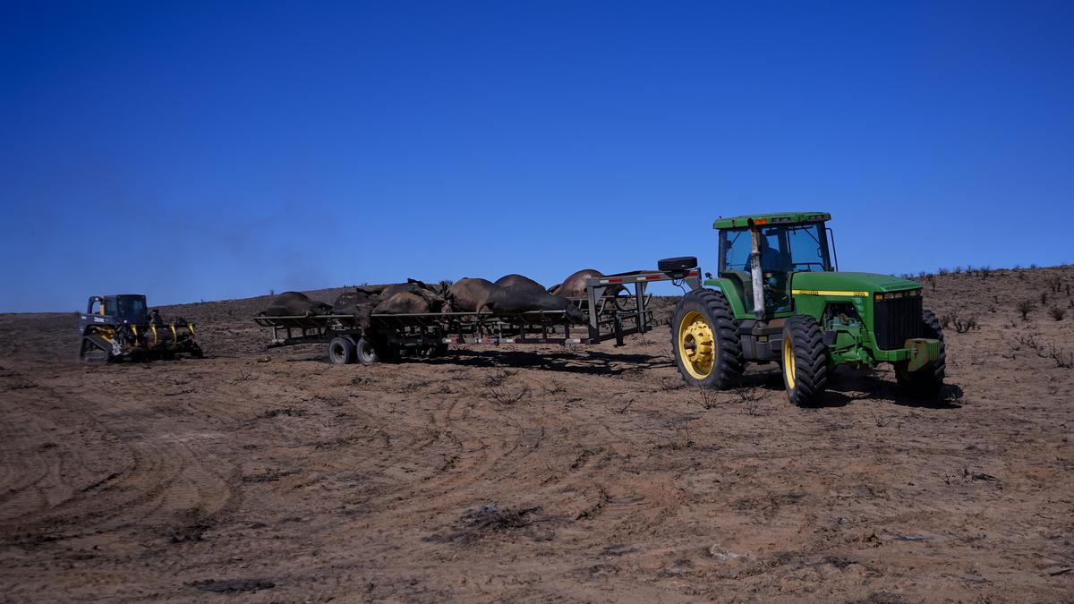Firefighters keep up battle to stamp out largest wildfire in Texas history