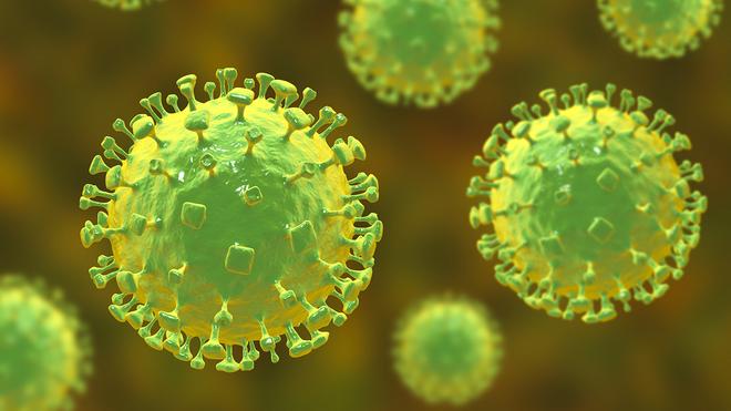 Global-campaign-on-prevention-of-encephalitis-launched