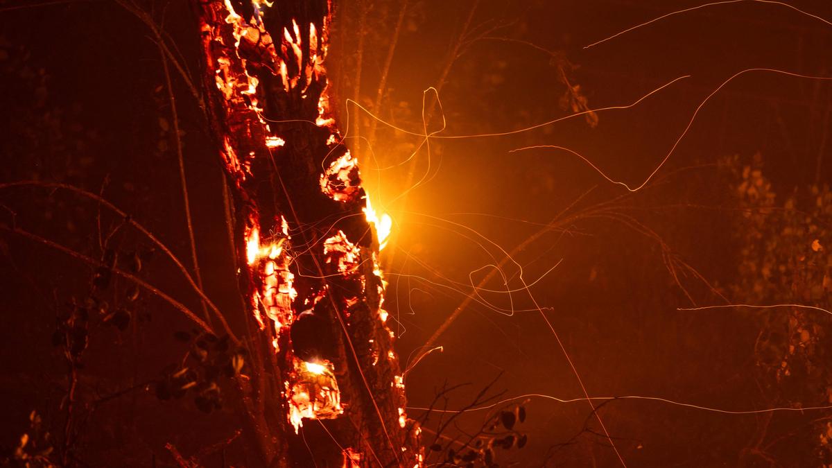 Rani Park walkers condemn arson, seek tighter security measures