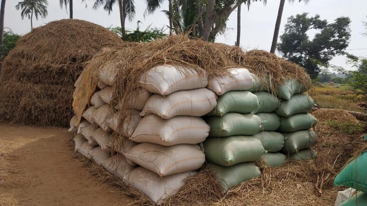Farmers in Andhra Pradesh can now use WhatsApp to sell paddy to government