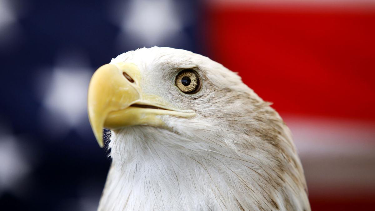 Biden signs a bill officially making the bald eagle the national bird of the U.S.