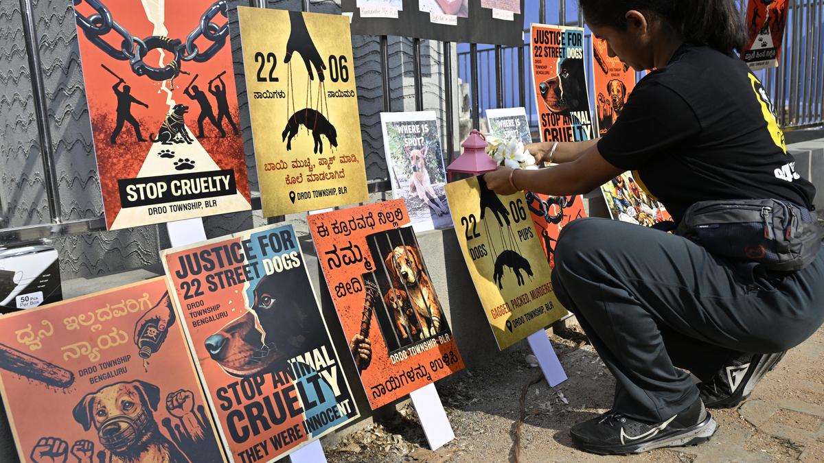 Activists protest against alleged cruelty towards community dogs