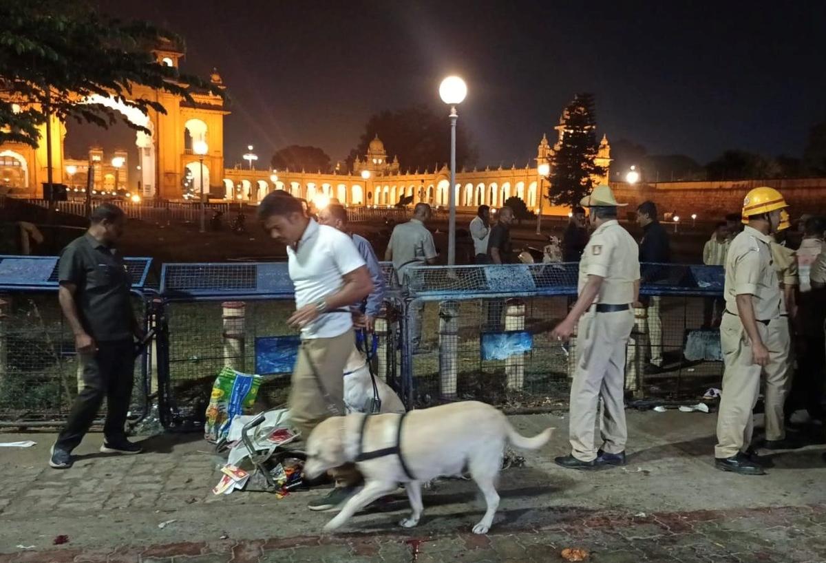 One killed, four injured as gas cylinder explodes near Mysuru palace gate -  The Hindu