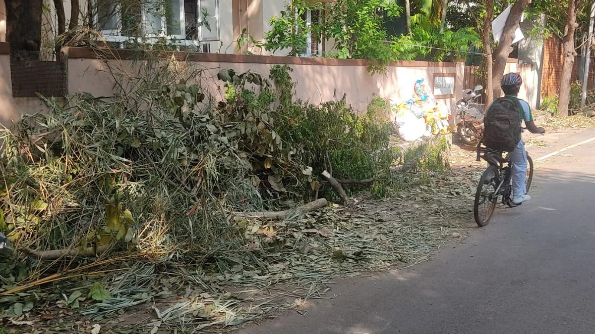 Green litter and sylvan neighbourhoods: A walk through Gandhi
Nagar, Besant Nagar