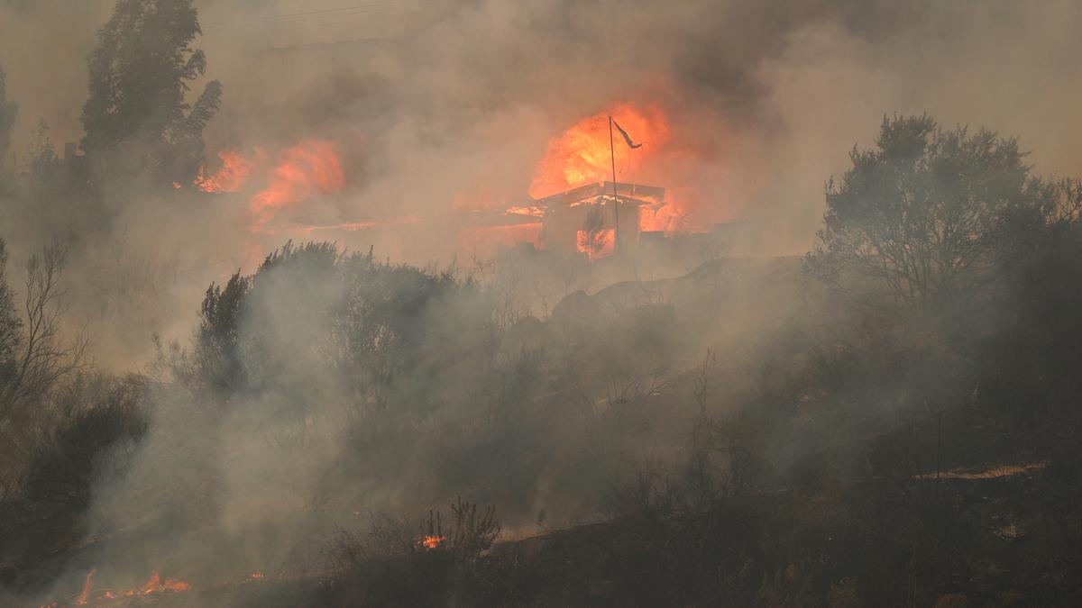 Chile risks repeat of deadly wildfires because of climate change, report says