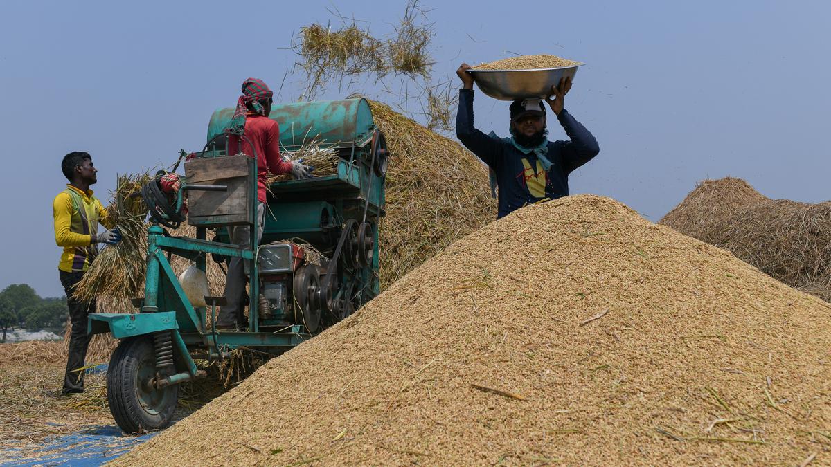 Odisha says its suggestion regarding MSP calculation for paddy was ignored 