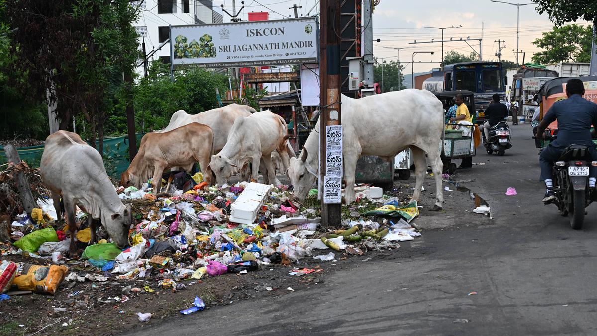 CLAP vehicles stay off roads as drivers remain on strike in Andhra Pradesh