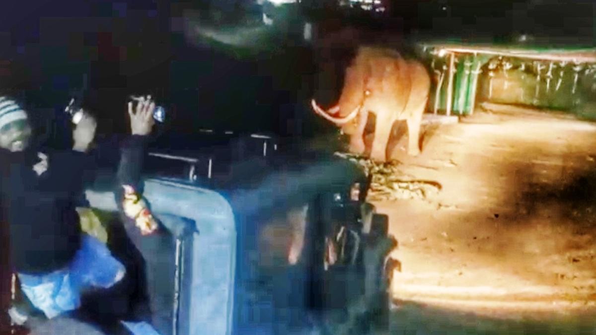 Youths provoke tusker Padayappa, Forest department registers case