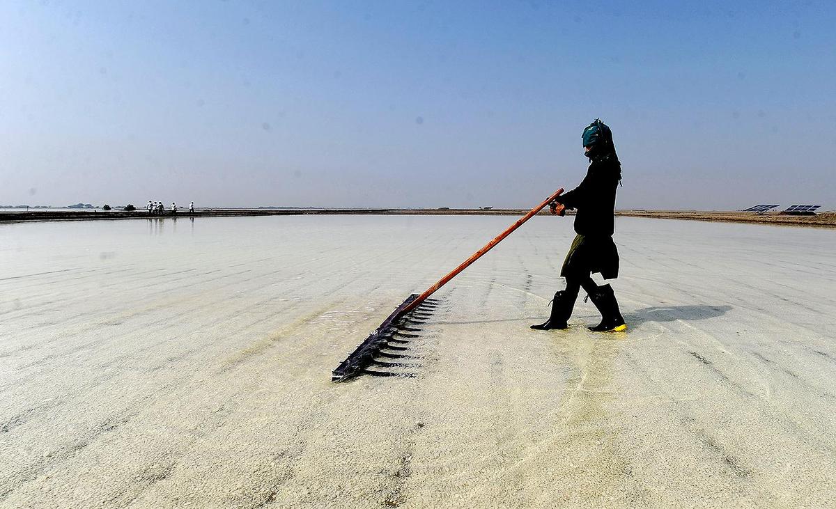 A Salt Farmer busy in her Salt farm at Little Rann of Kutch.