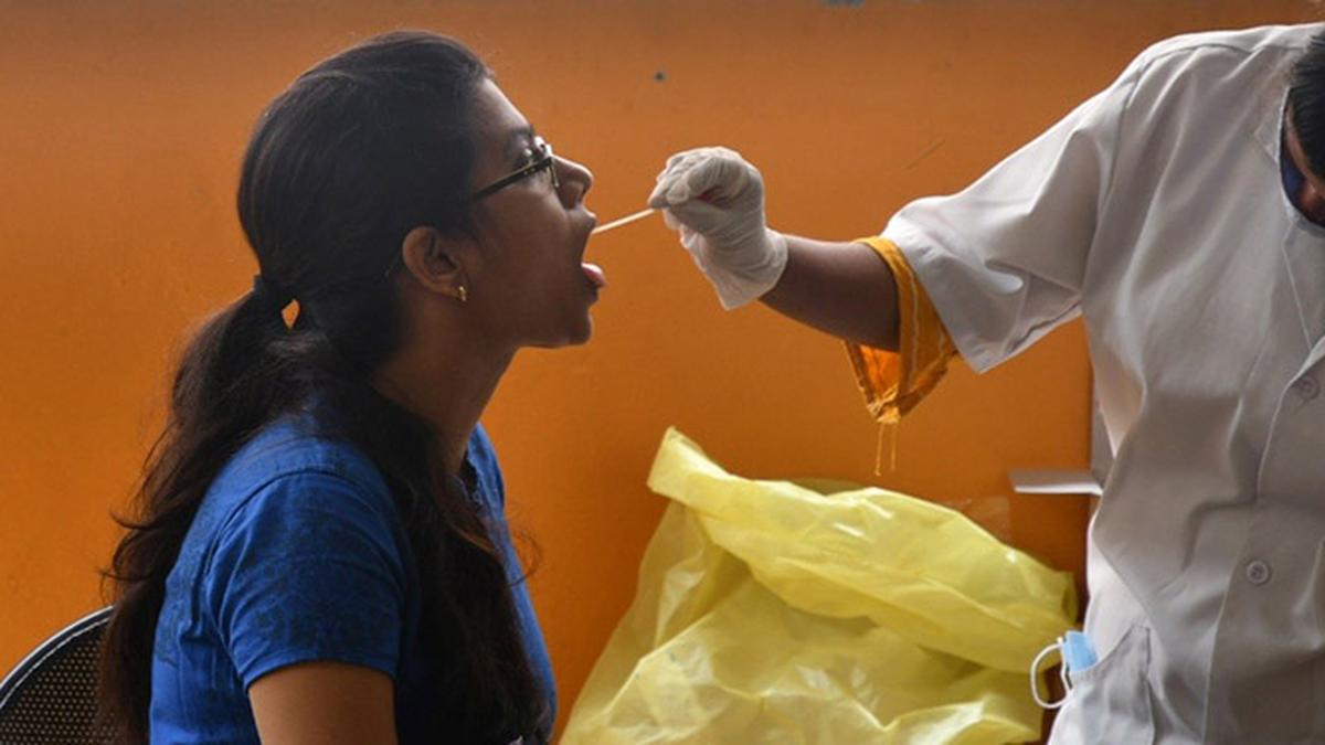 343 fresh COVID19 cases registered in India, number of active cases come down The Hindu