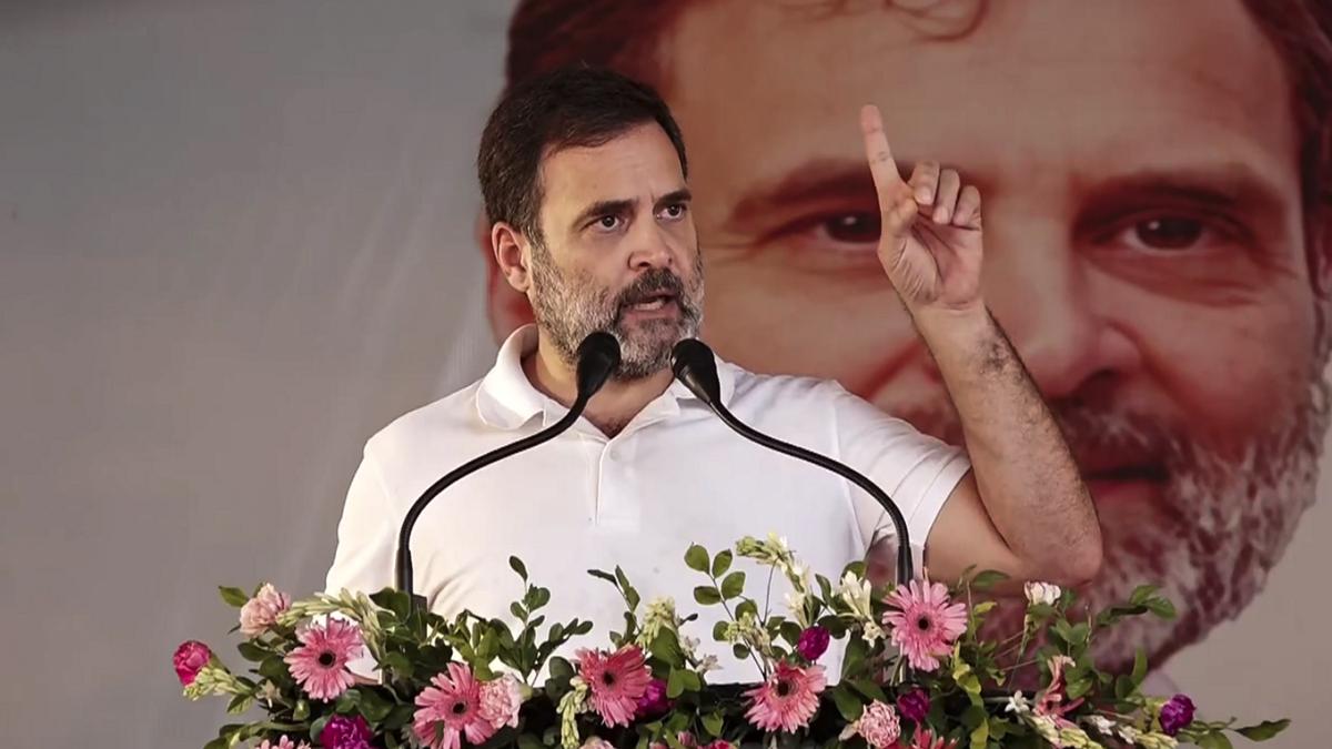 Many dynasts in new Modi-led NDA Cabinet: Rahul Gandhi