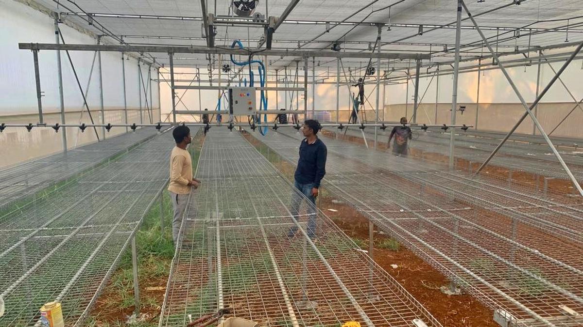 Centre of excellence of vegetables and floriculture in Wayanad from April