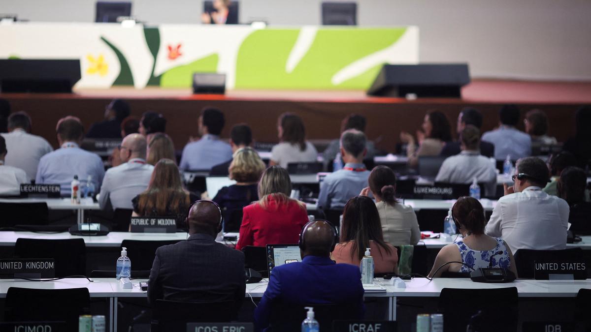 At COP30, India and other developing countries press to assess trade impacts of climate action