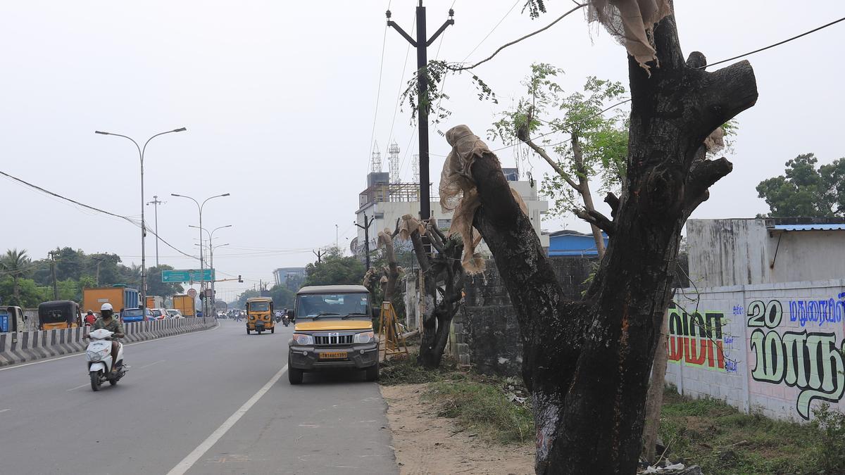 Moving from ECR to a new home in interior Sholinganallur