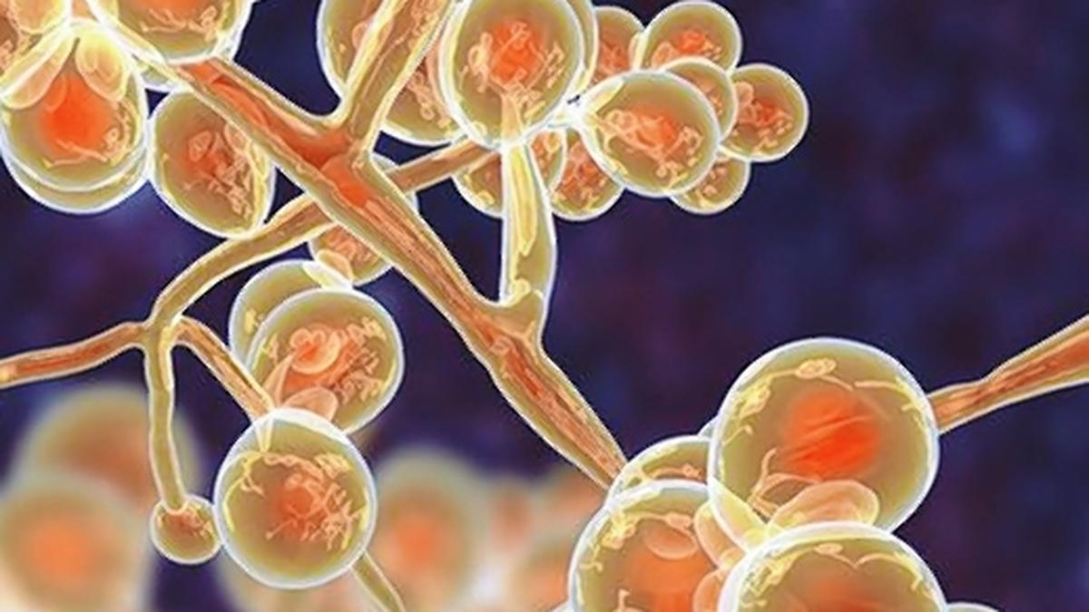 Drug-resistant superbugs projected to kill 39 million by 2050