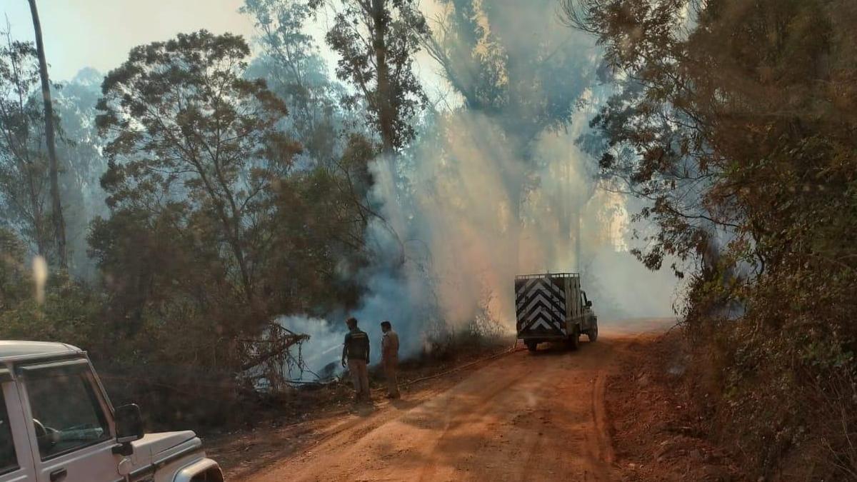 Forest fires in Nilgiris largely under control, says Forest department