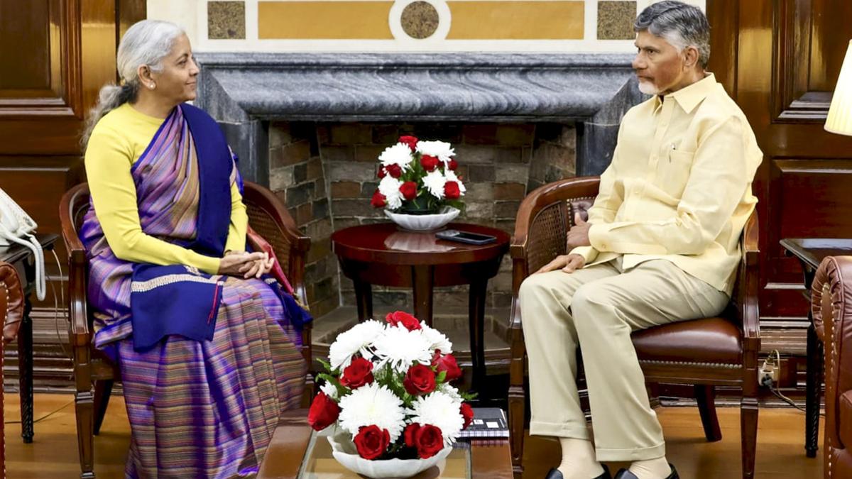 Naidu discusses A.P.’s development with Union Finance Minister 