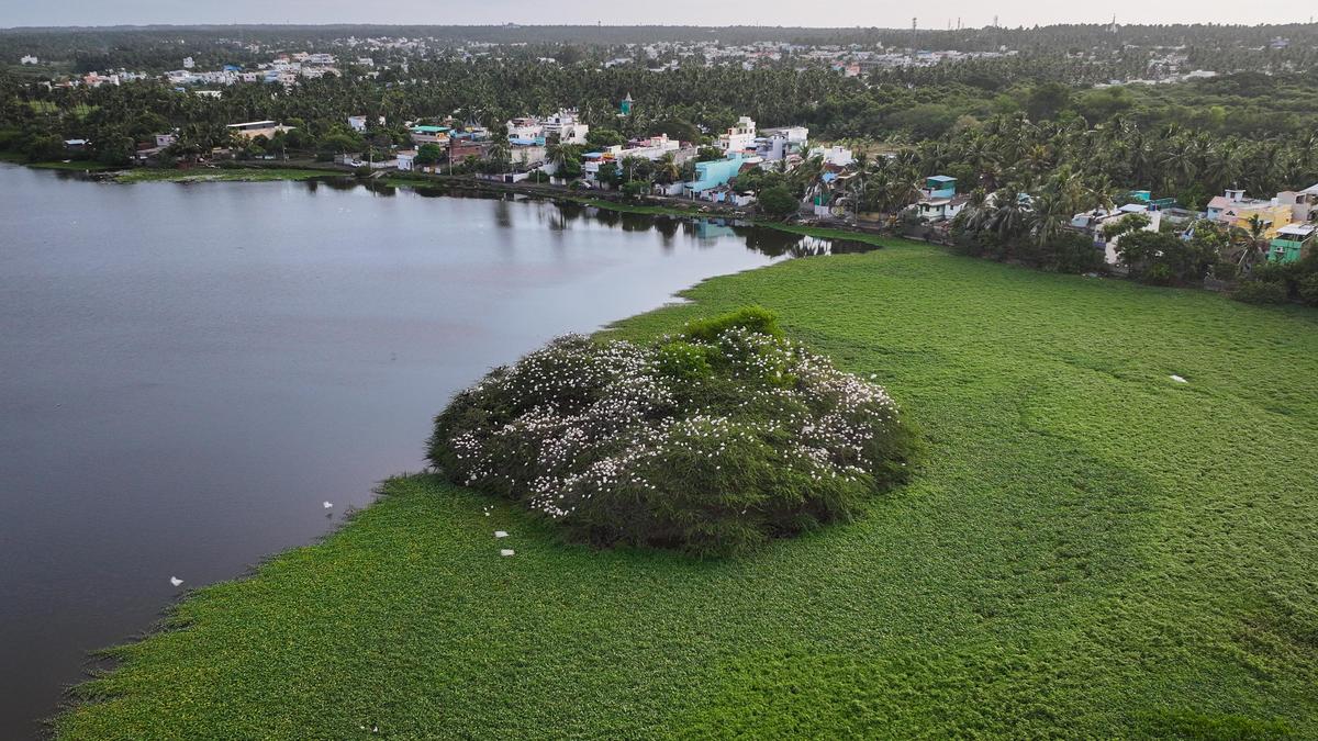 झील अतिक्रमण, अपशिष्ट डंपिंग और अन्य मुद्दों से प्रभावित है झील अतिक्रमण, अपशिष्ट डंपिंग और अन्य मुद्दों से प्रभावित है