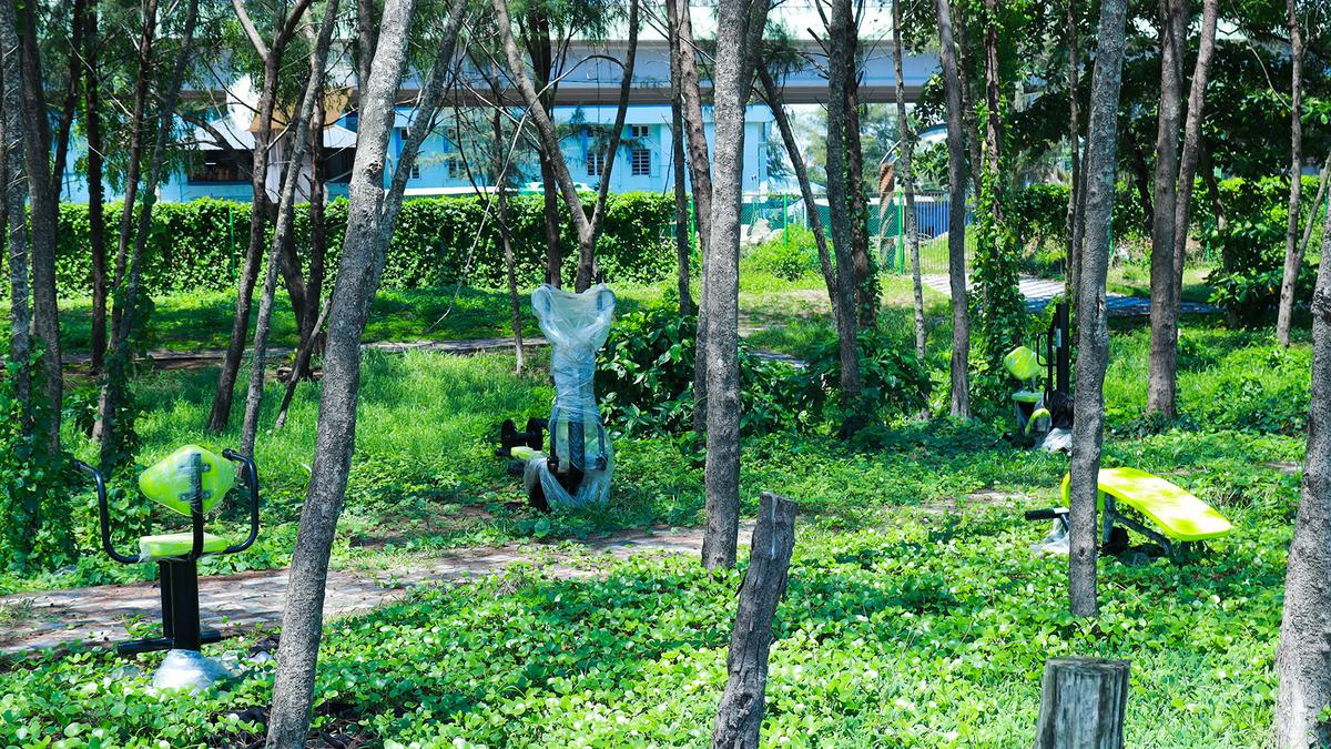 Alappuzha municipality transforms waste-filled land into outdoor gym and park