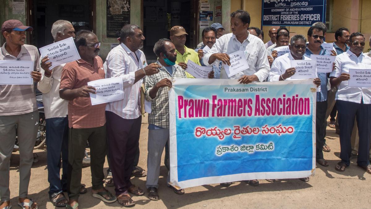 Aqua farmers protest shrimp feed price hike in Ongole