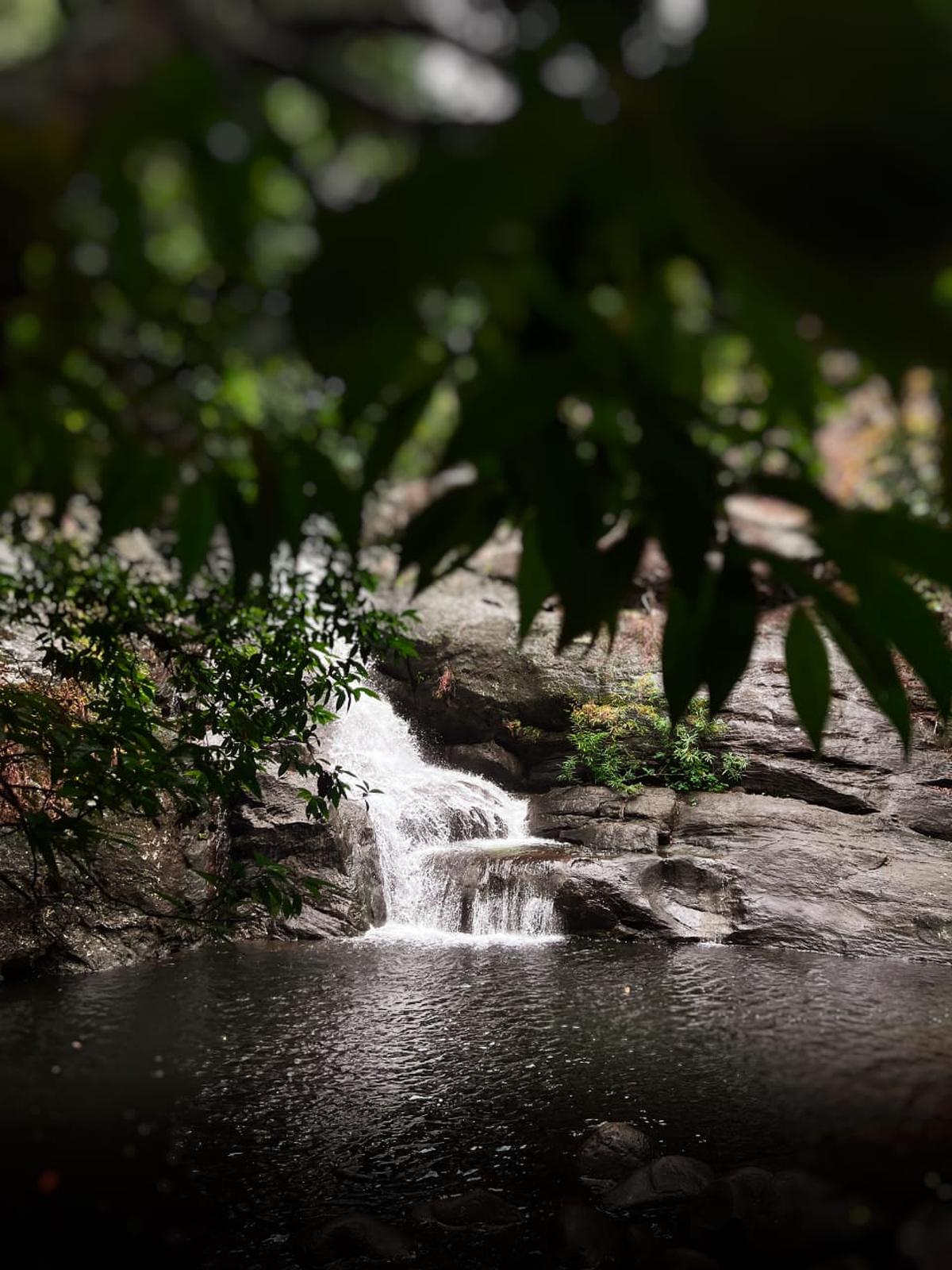A waterfall that trekkers visit in Wayanad