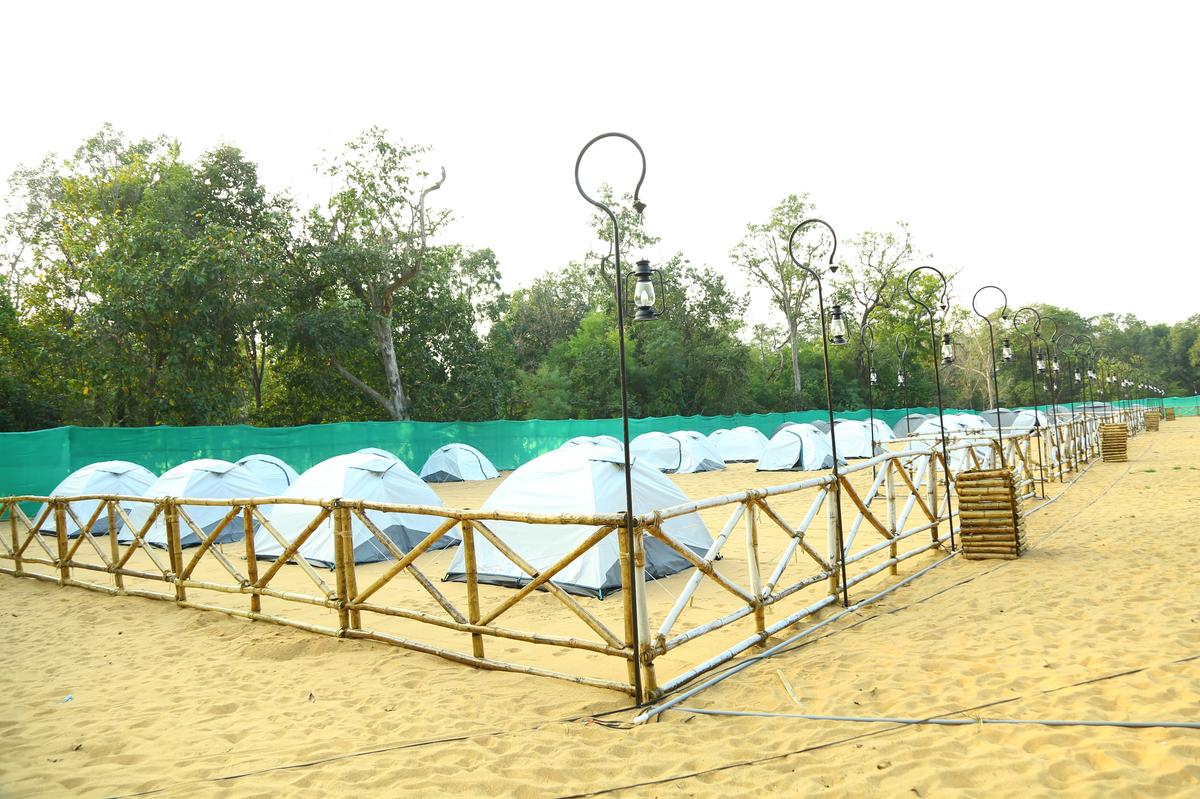 Tents set up at Blackberry Island in Tadvai forests in Mulugu district. Photo: by Arrangement 